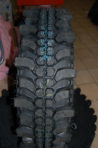 NAka Ex Forest.jpg
