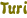 Turi