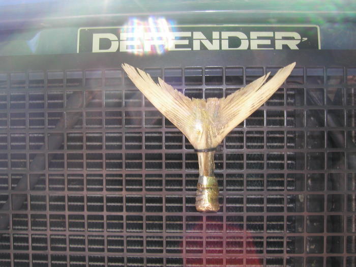 Das Offroad Forum: Bonds Defender 90 ST -Rantanplan-